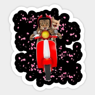 Funny Cat Sakura Racing Sticker